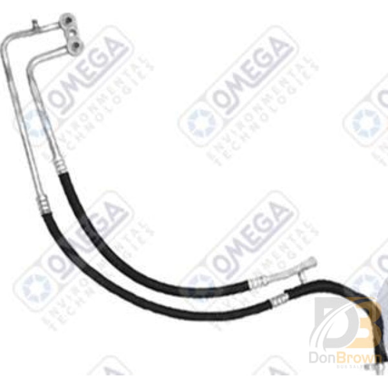 MANIFOLD HOSE ASSEMBLY 98-02 RAM PICKUP 34-63842