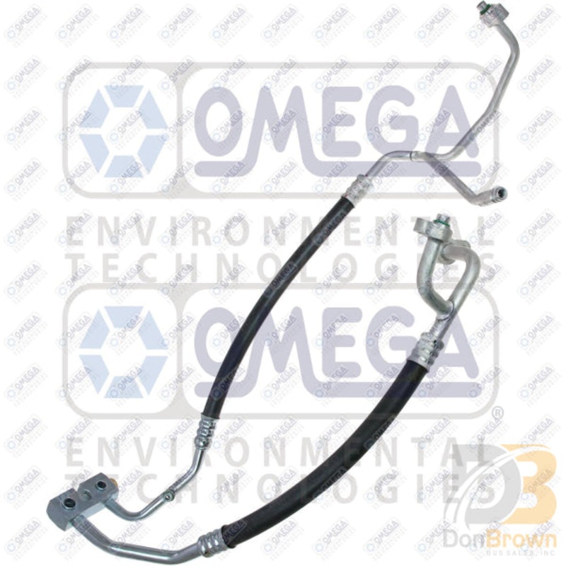 MANIFOLD HOSE ASSEMBLY 34-62019