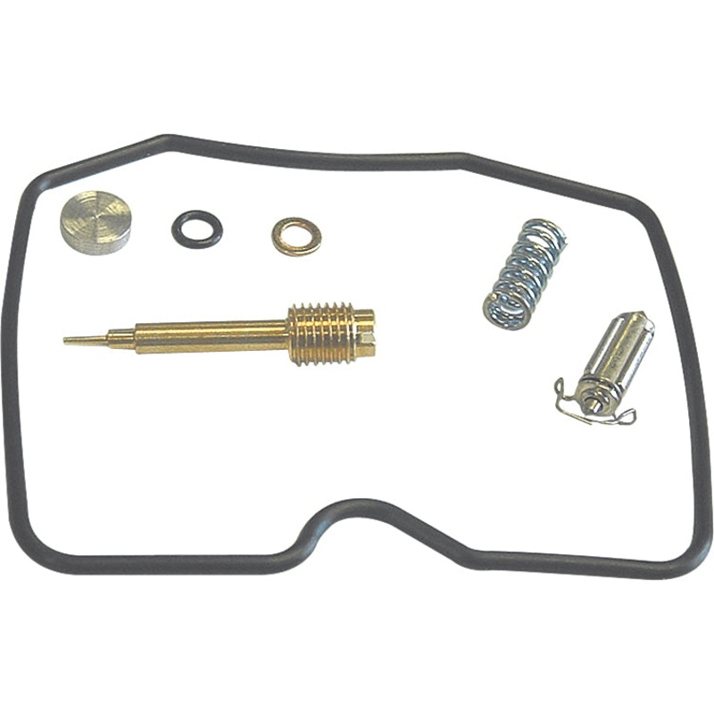 Carburetor Repair Kit