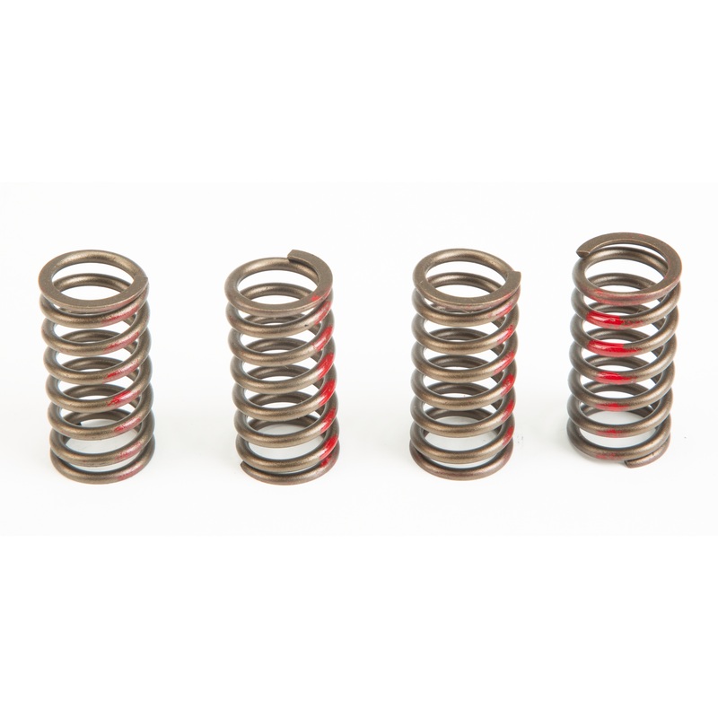 Clutch Springs