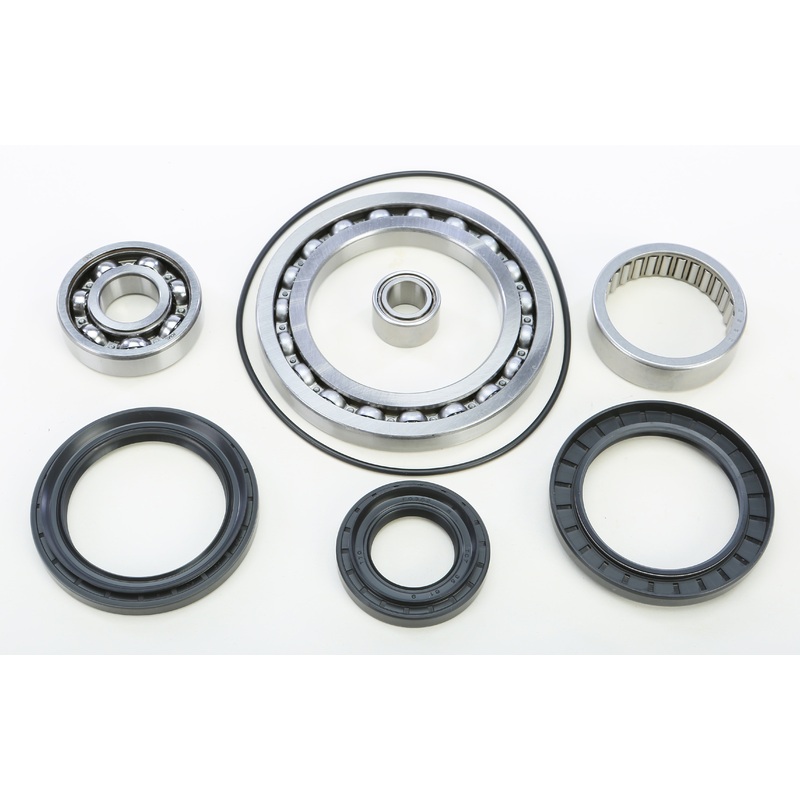 Rear Differential Bearing And Seal Kit