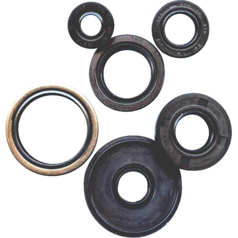 Oil Seal Kit Dirt