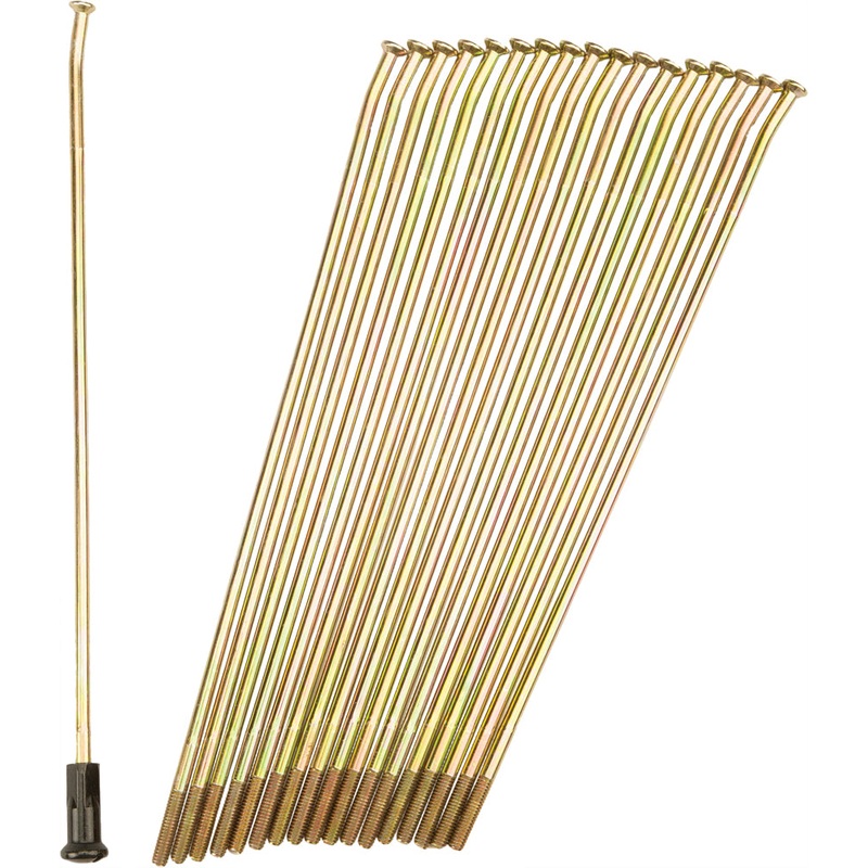 Double Butted Spokes Gold/Black Front 21 36/Pk