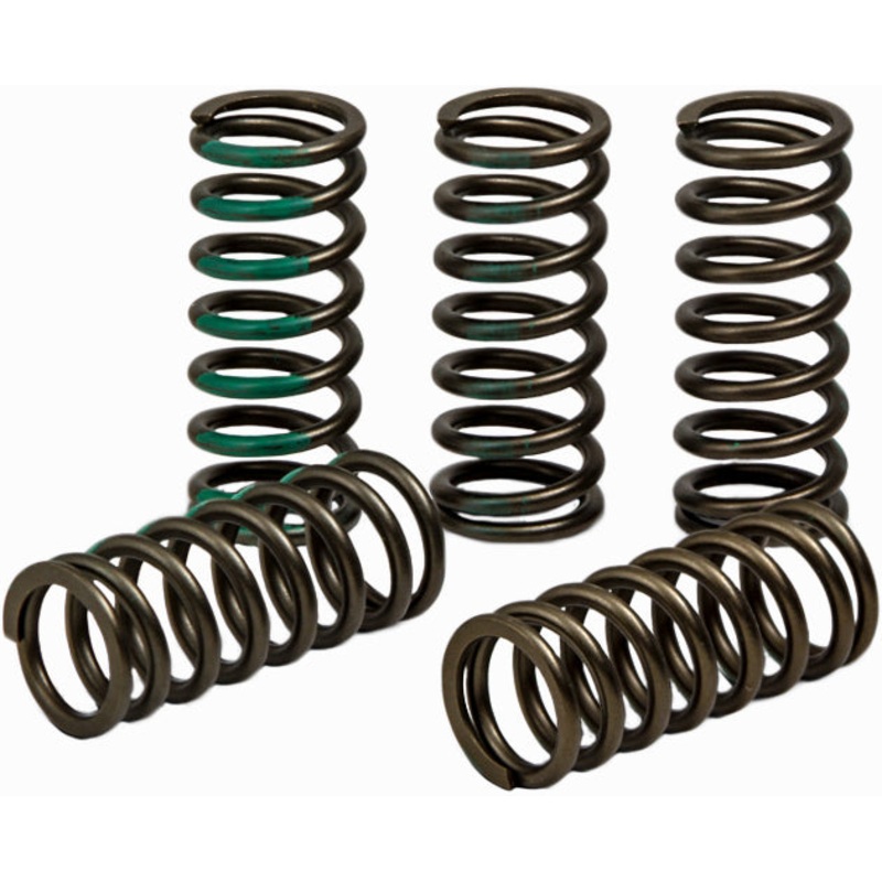 Clutch Spring Kaw