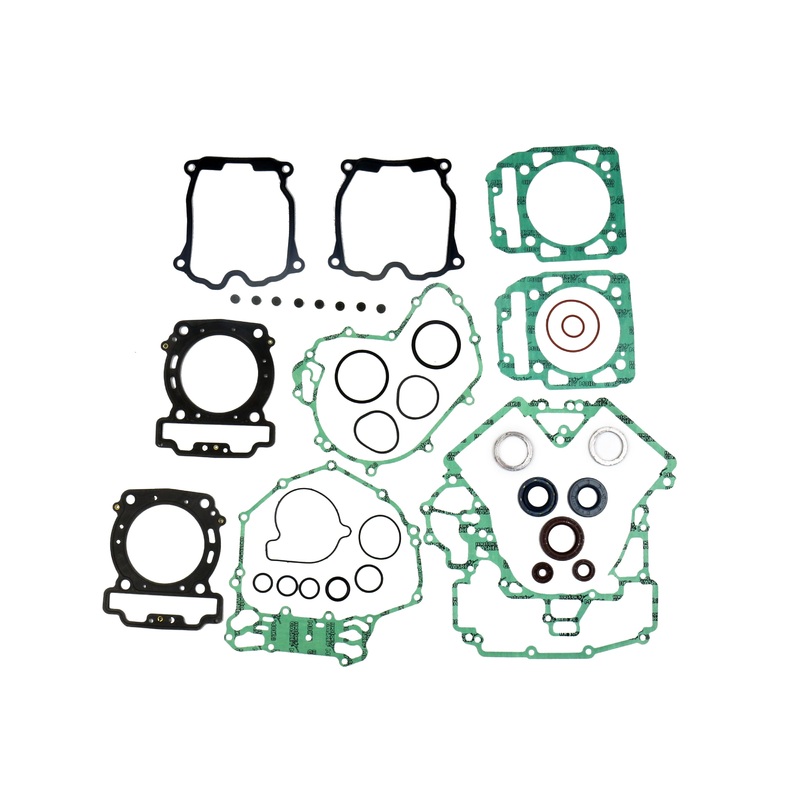 Complete Gasket Kit W/Oil Seals Can